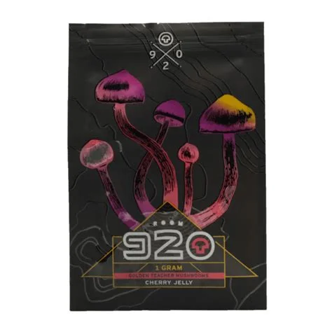 Cherry Mushroom Jelly by Room 920