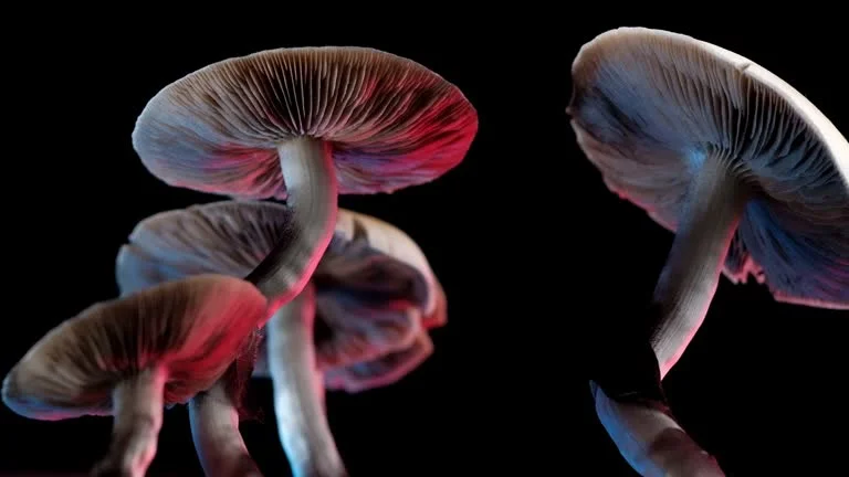 How to Safely and Discreetly Use Psychedelics in the UK