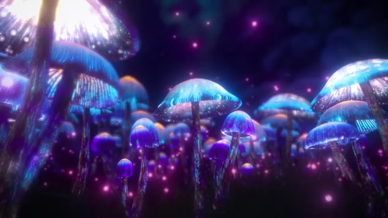 Can Psychedelics Help Treat Anxiety and Depression?